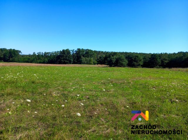 Działka inwestycyjna Droszków. Zdjęcie 2