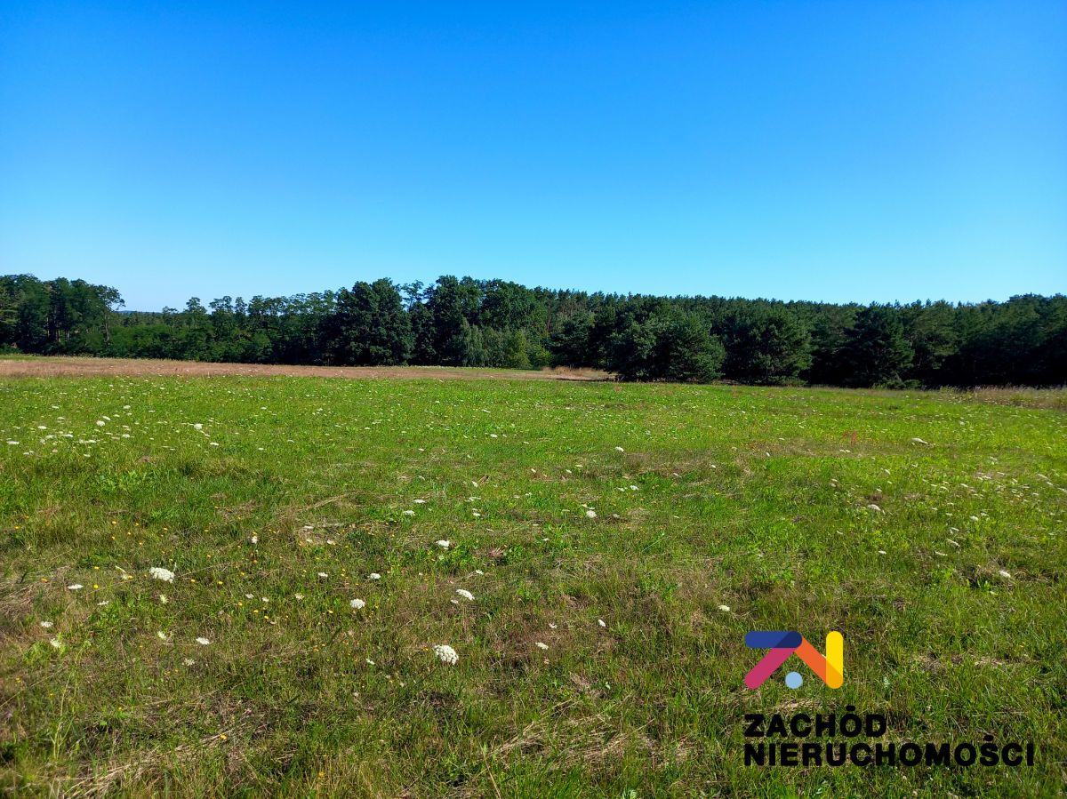 Działka inwestycyjna Droszków. Zdjęcie 2