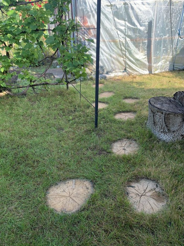 Działka rod Koszalin Kretomino, ul. Palmowa. Zdjęcie 5