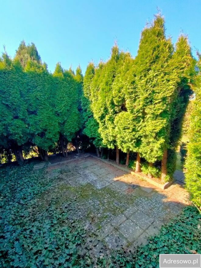 Działka rod Chodzież. Zdjęcie 5