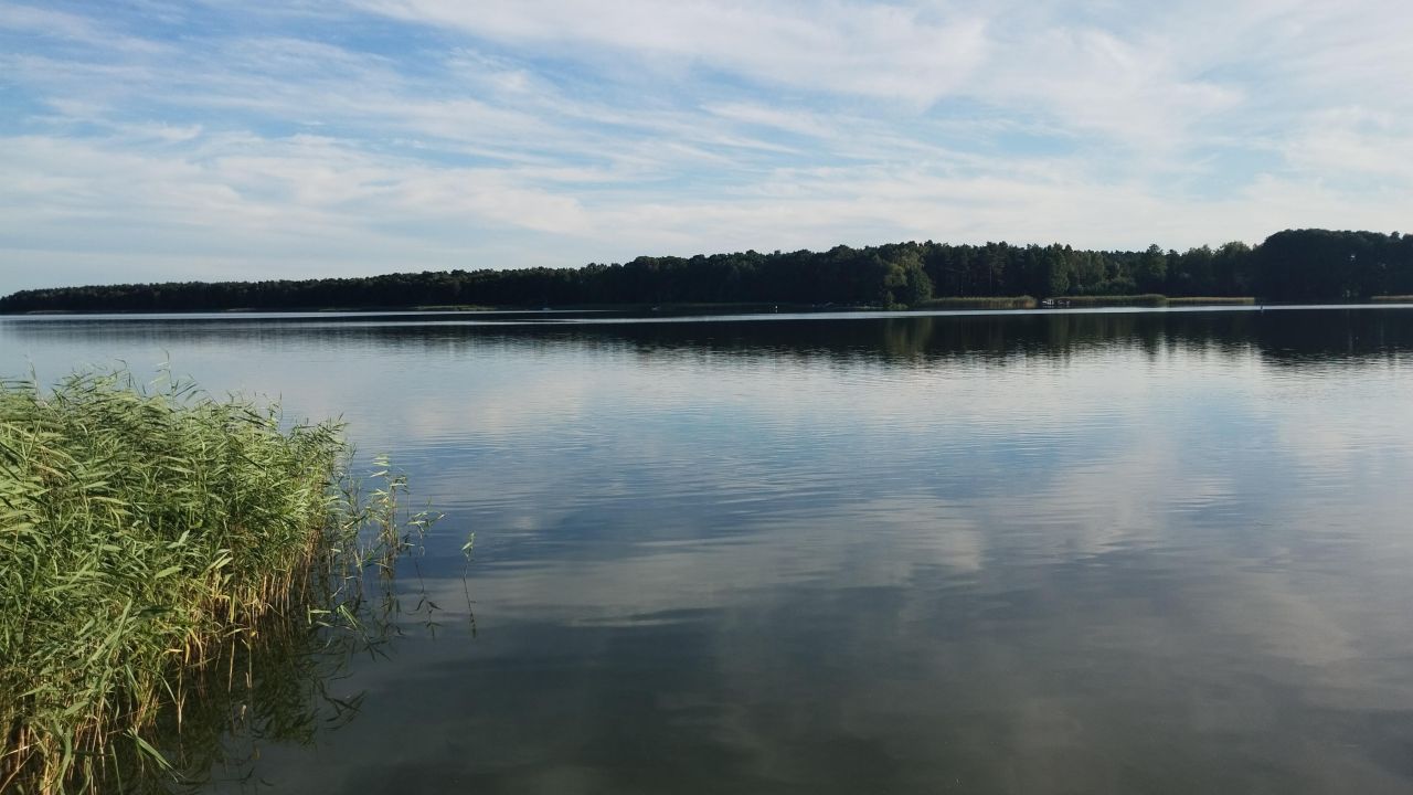 Działka rekreacyjna Słupia. Zdjęcie 7