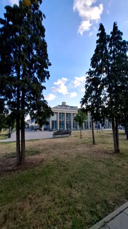 Działka inwestycyjna Zduńska Wola, pl. Wolności. Zdjęcie 9