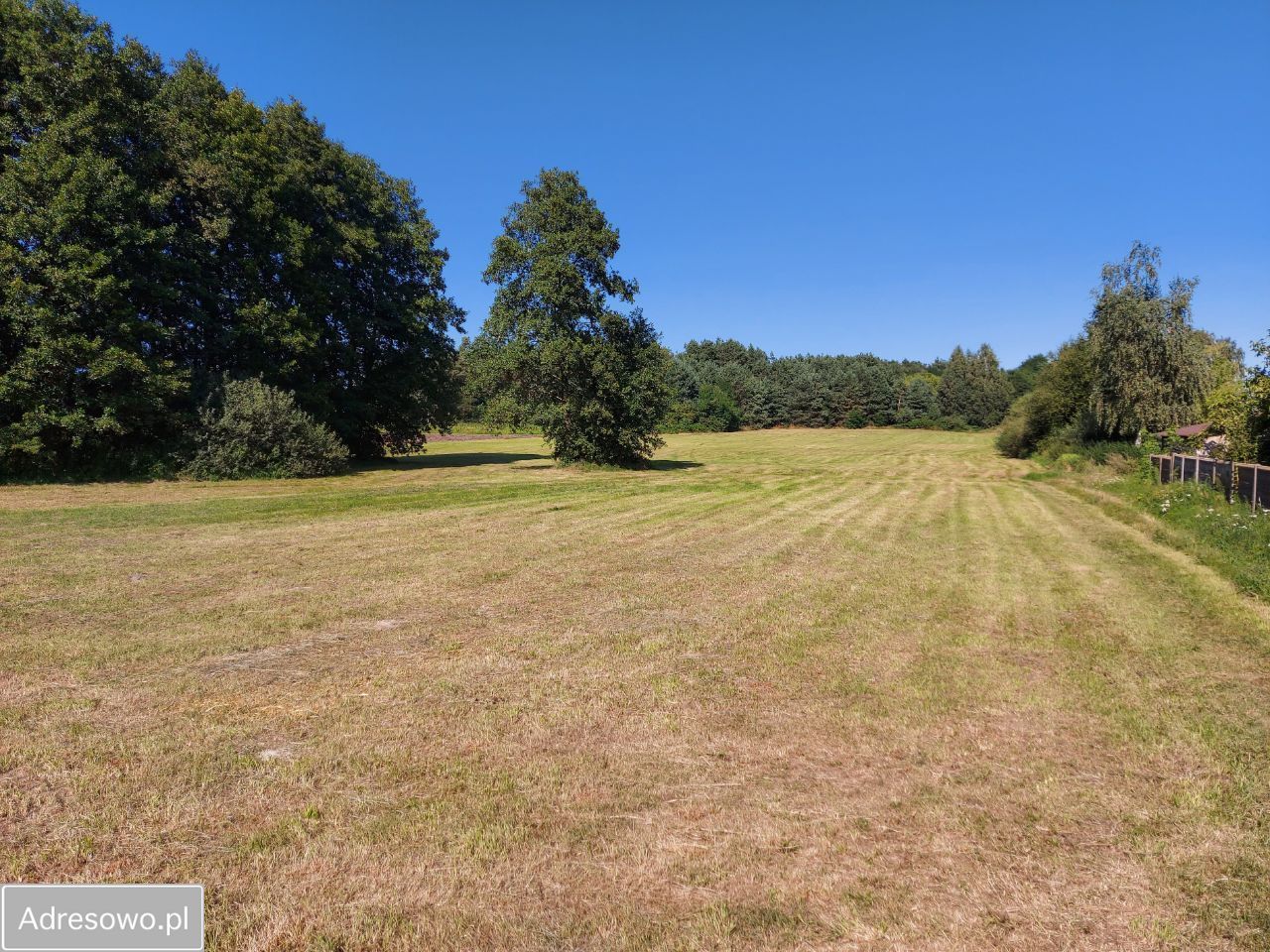 Działka rolno-budowlana Roszkowa Wola. Zdjęcie 3