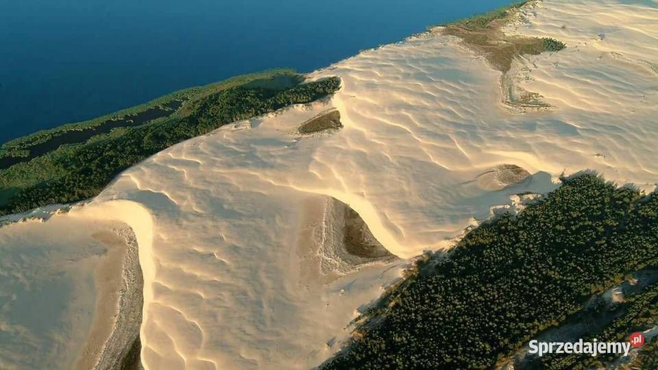 Działka rekreacyjna Łokciowe. Zdjęcie 7