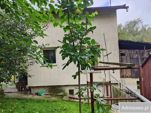 Działka rekreacyjna Jastrzębie-Zdrój, ul. ks. bp. Herberta Bednorza. Zdjęcie 1