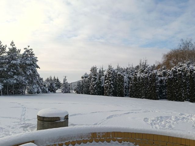 dom wolnostojący, 5 pokoi Tczewskie Łąki, ul. Wałowa. Zdjęcie 4