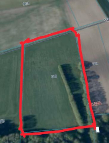 Działka rolna Chojewo Chojewo-Kolonia. Zdjęcie 1