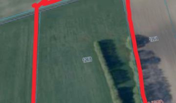 Działka rolna Chojewo Chojewo-Kolonia