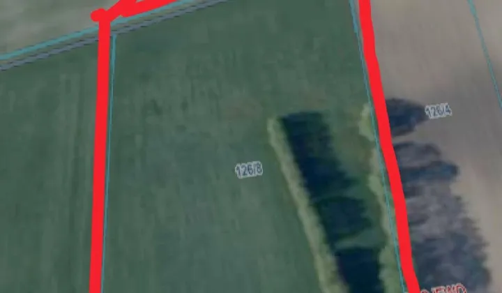 Działka rolna Chojewo Chojewo-Kolonia