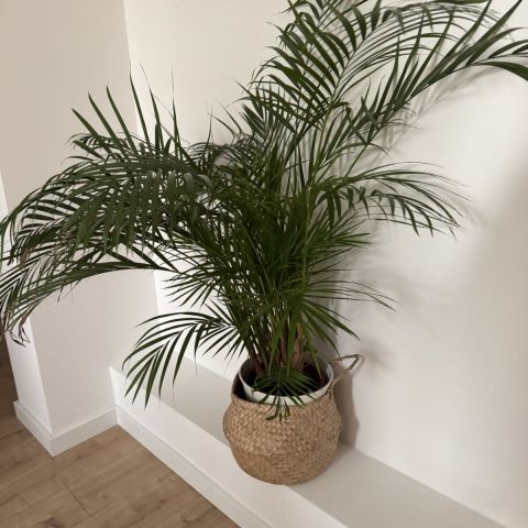 Mieszkanie 1-pokojowe Jelenia Góra. Zdjęcie 3