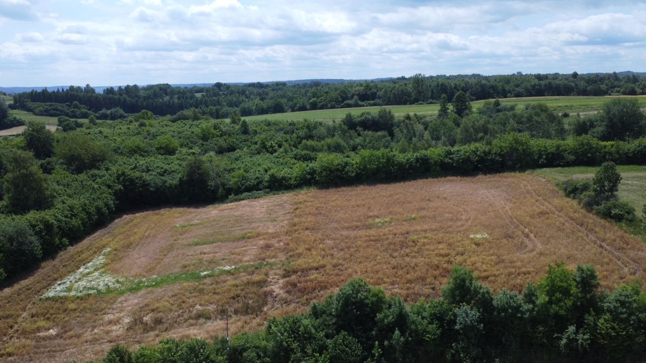 Działka budowlana Szczebrzeszyn, ul. Partyzantów. Zdjęcie 2
