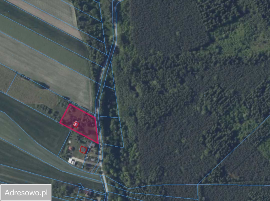 Działka budowlana Piołunka. Zdjęcie 4