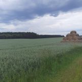 Działka rolna Białężyn. Zdjęcie 2
