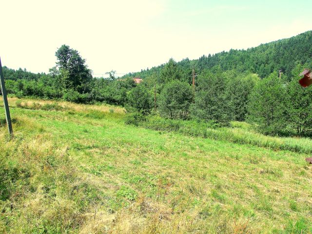 Działka budowlana Bielsko-Biała Straconka, ul. Lisia. Zdjęcie 1