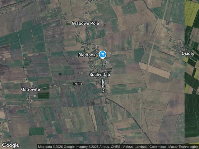 Działka rolna Suchy Dąb. Zdjęcie 1