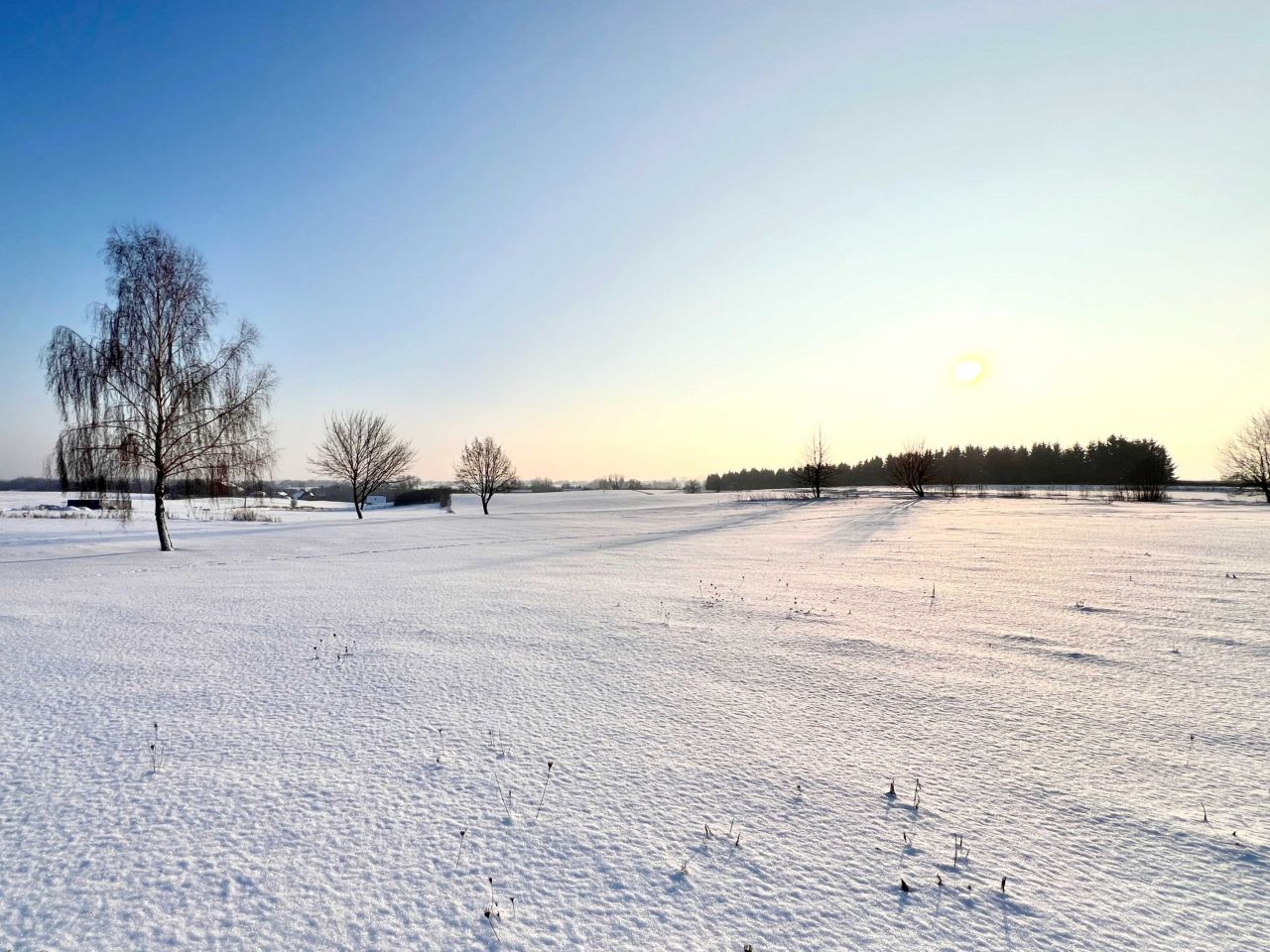 Działka budowlana Jastków, ul. Radosna. Zdjęcie 6