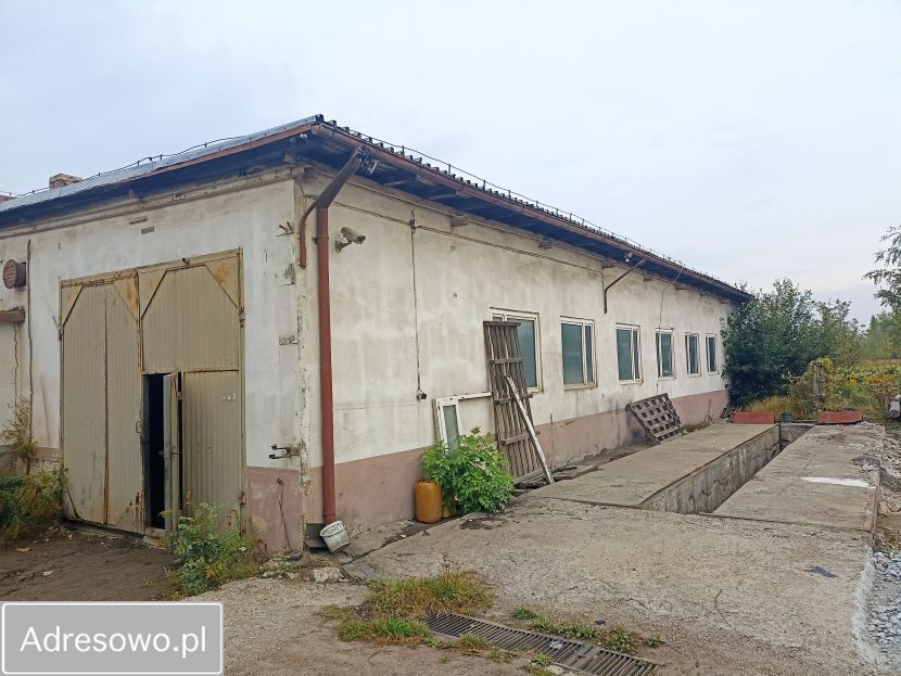 Hala/magazyn Ruda Śląska Kochłowice. Zdjęcie 4