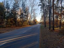 Działka leśna Zielonki-Wieś, ul. Białej Góry. Zdjęcie 2