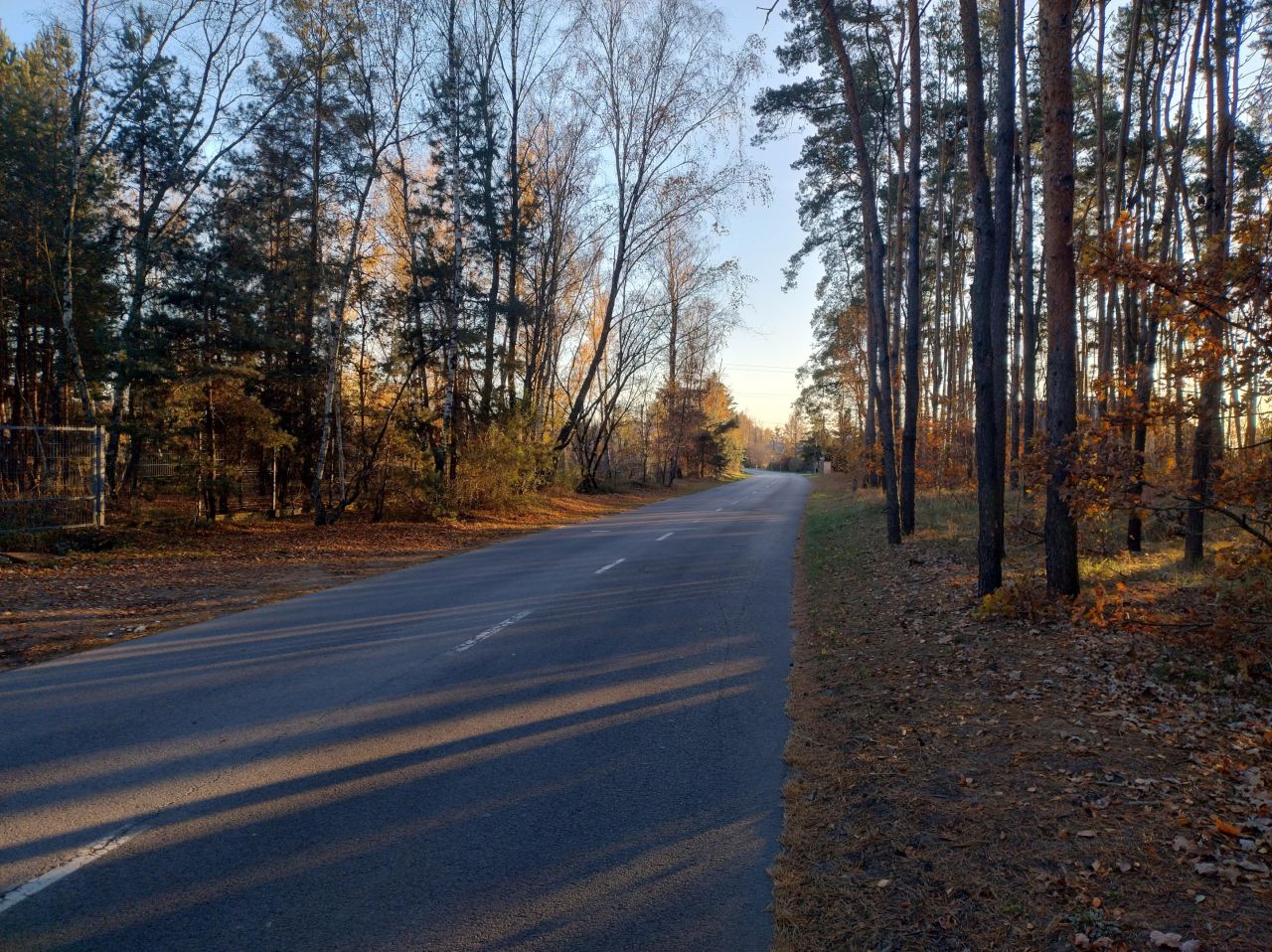 Działka leśna Zielonki-Wieś, ul. Białej Góry. Zdjęcie 3