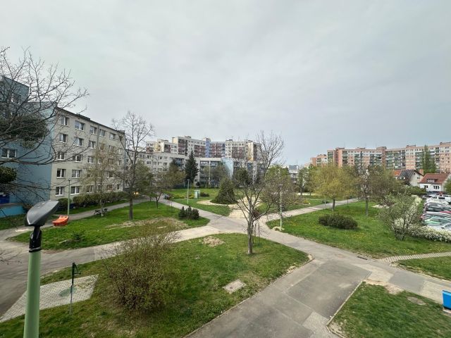 Mieszkanie 2-pokojowe Wrocław Pilczyce, ul. Pilczycka. Zdjęcie 1