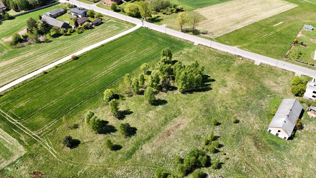 Działka inwestycyjna Borzechowo, ul. Szkolna