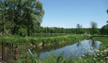 Działka siedliskowa Wólka Poznańska