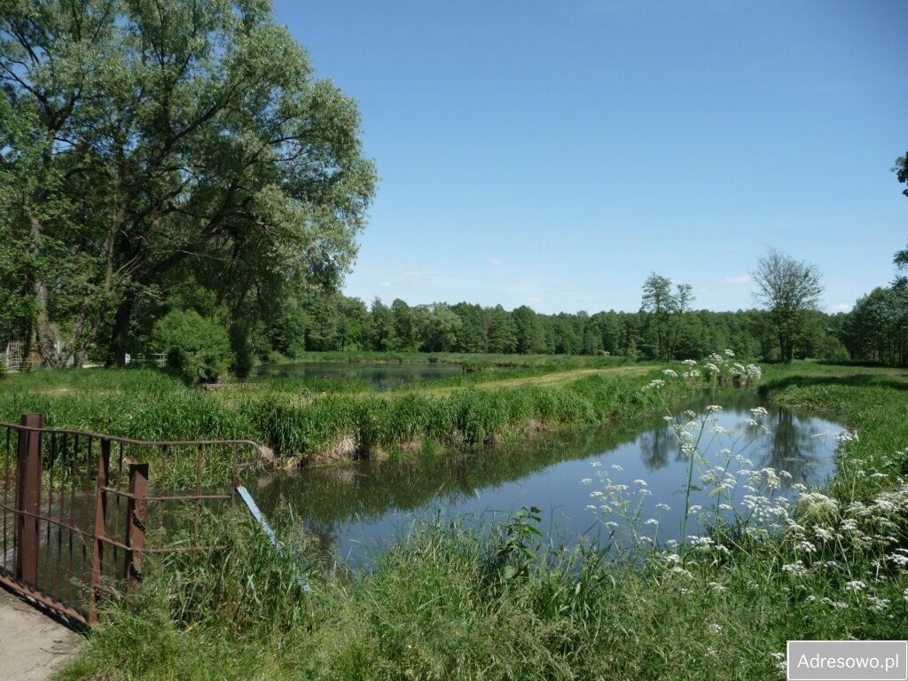 Działka siedliskowa Wólka Poznańska. Zdjęcie 2