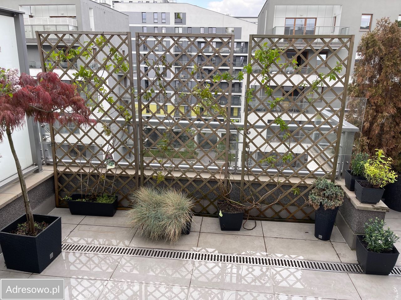 Mieszkanie 2-pokojowe Warszawa Wola, ul. Marcina Kasprzaka. Zdjęcie 11