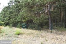 Działka budowlana Dzikowo Chrapy, ul. Tulipanowa. Zdjęcie 3