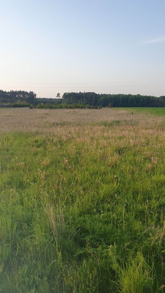 Działka inwestycyjna Sarbia. Zdjęcie 11