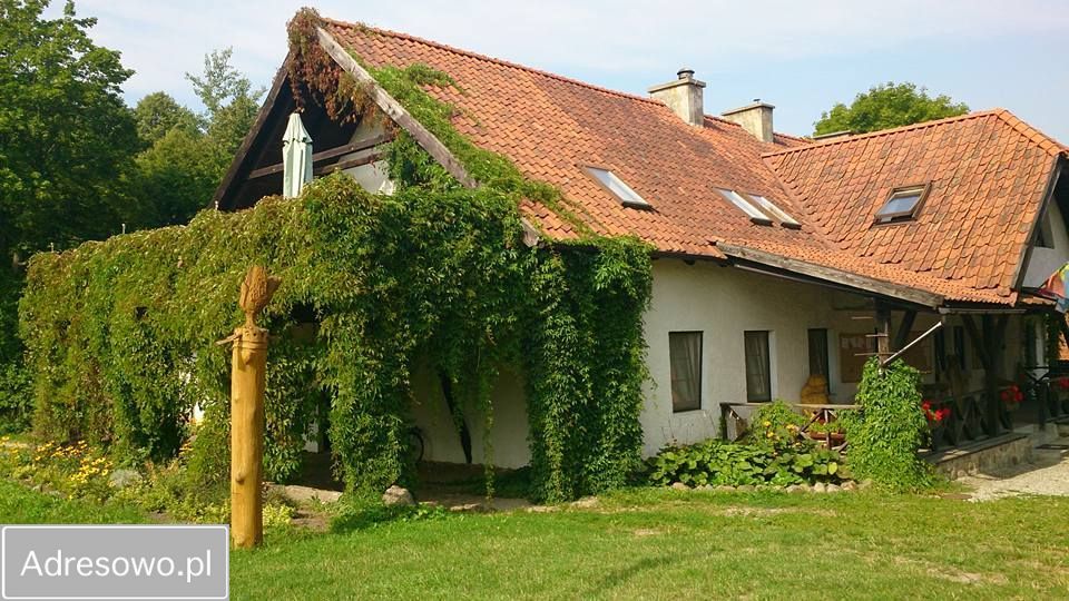 Ośrodek wczasowy Jędrychowo Rodowo. Zdjęcie 5