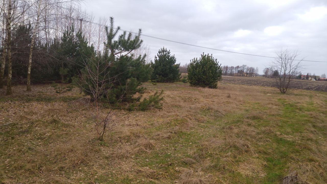 Działka rolno-budowlana Borówek. Zdjęcie 16