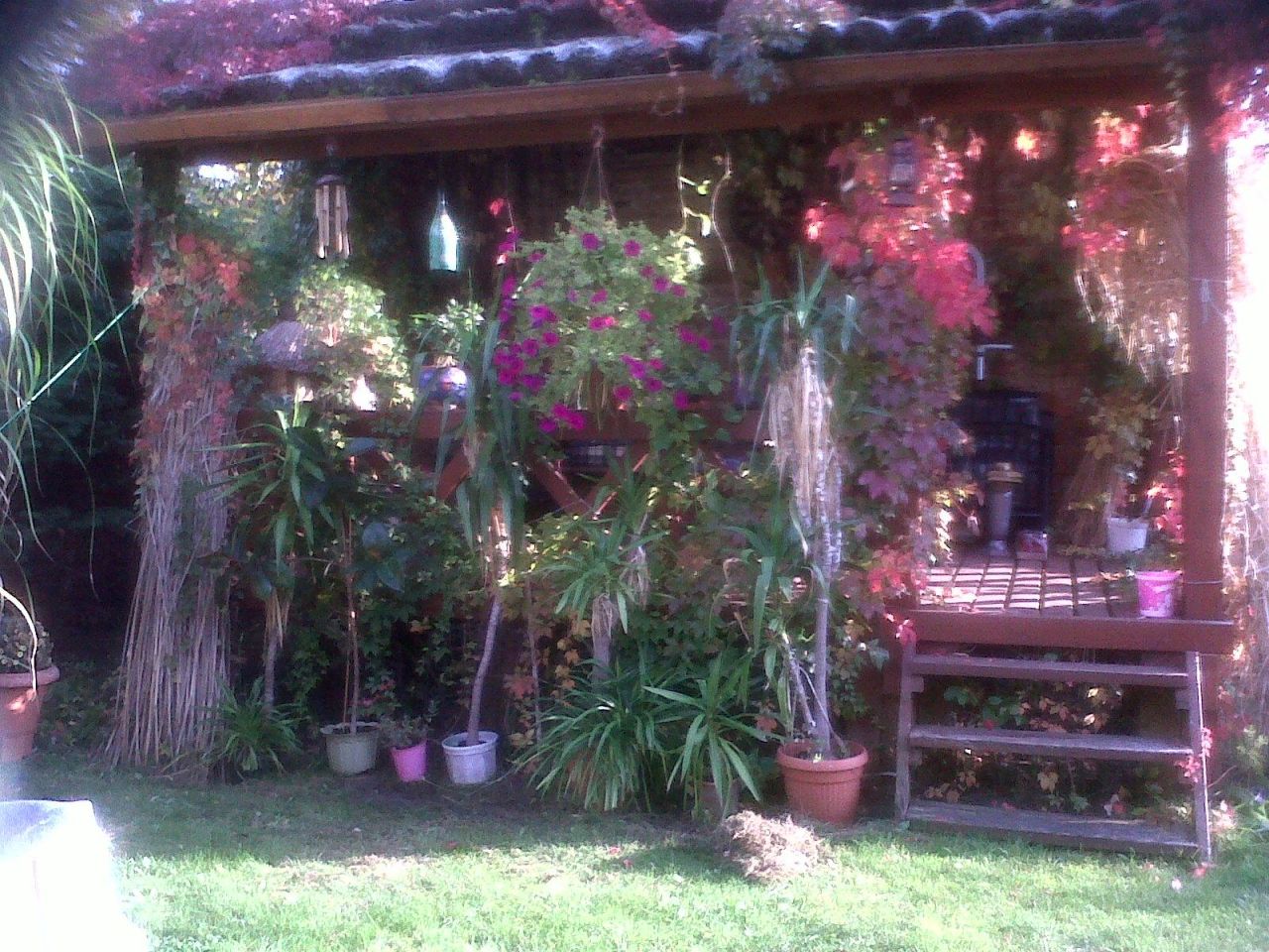 dom wolnostojący, 6 pokoi Kadyny. Zdjęcie 15