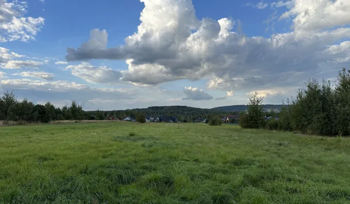 Działka budowlana Domaszowice, ul. Klonowa