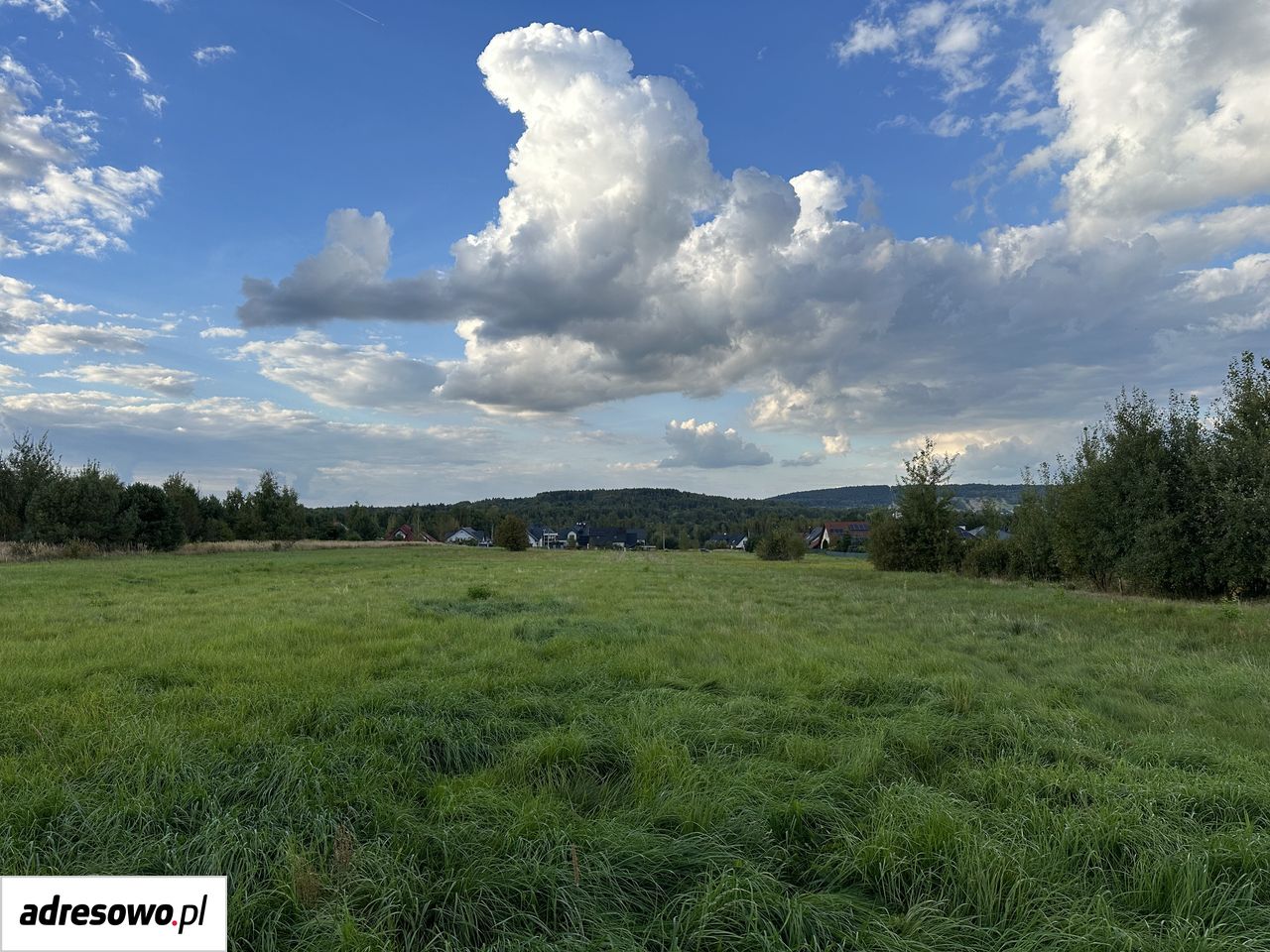 Działka budowlana Domaszowice, ul. Klonowa. Zdjęcie 1