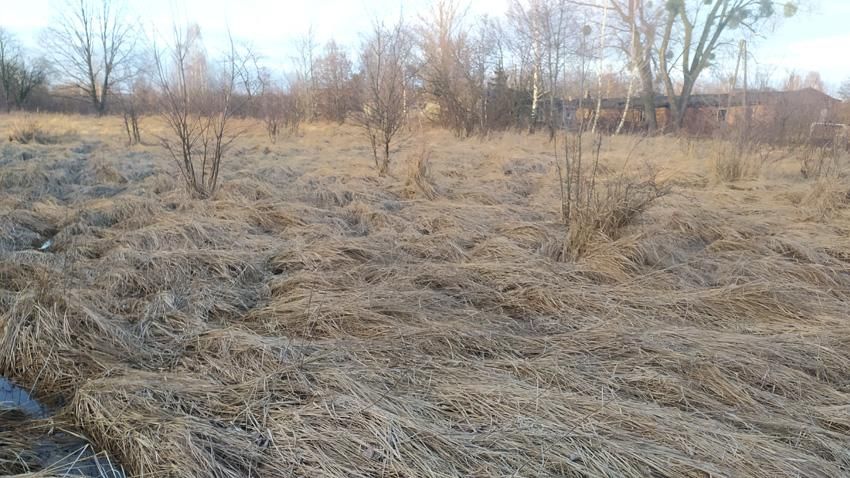 Działka rolno-budowlana Częstochowa Gnaszyn Górny, ul. Podbiałowa. Zdjęcie 3