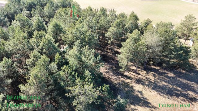 Działka budowlana Stara Kiszewa. Zdjęcie 8