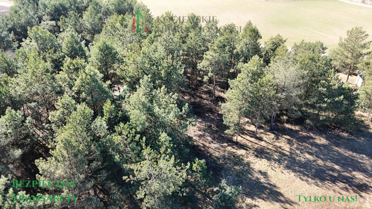 Działka budowlana Stara Kiszewa. Zdjęcie 8