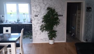 dom wolnostojący Radomice