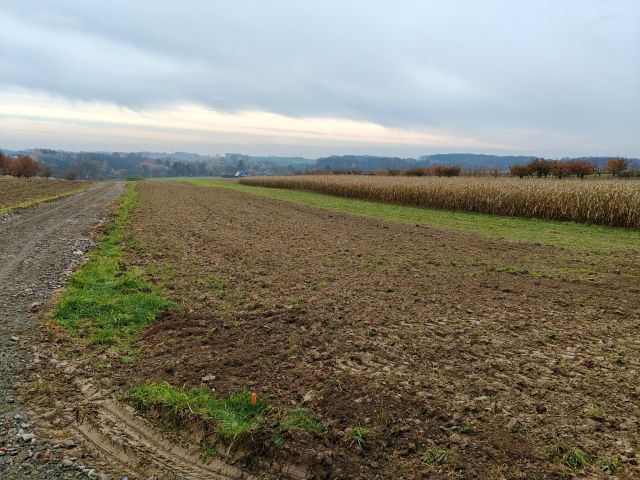 Działka siedliskowa Brochocin. Zdjęcie 1
