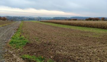 Działka siedliskowa Brochocin