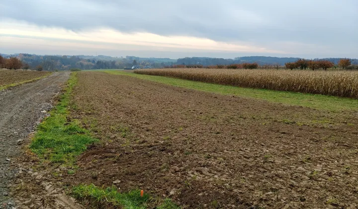 Działka siedliskowa Brochocin