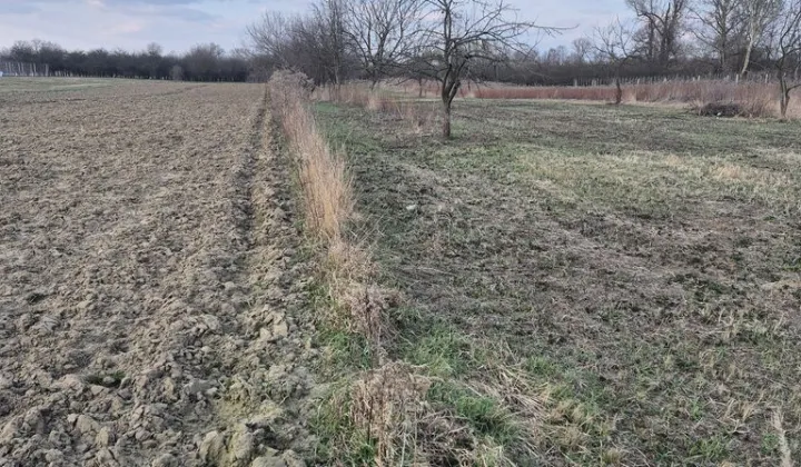 Działka rolna Kępa Nadbrzeska