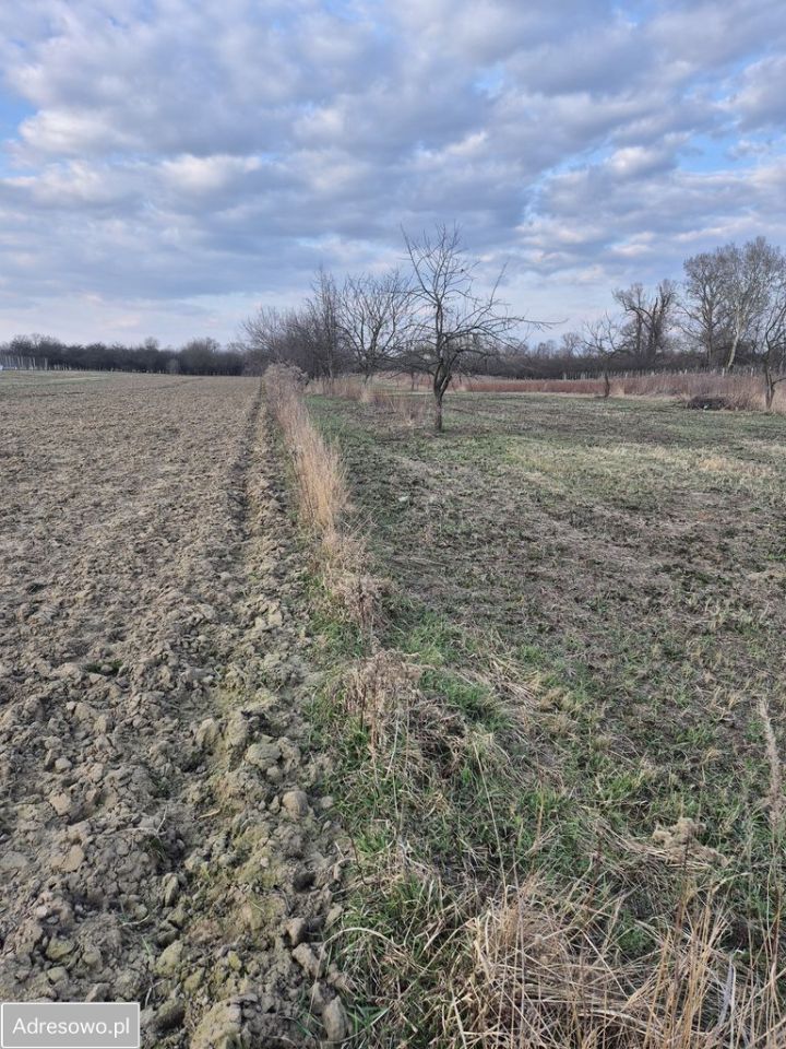 Działka rolna Kępa Nadbrzeska. Zdjęcie 1