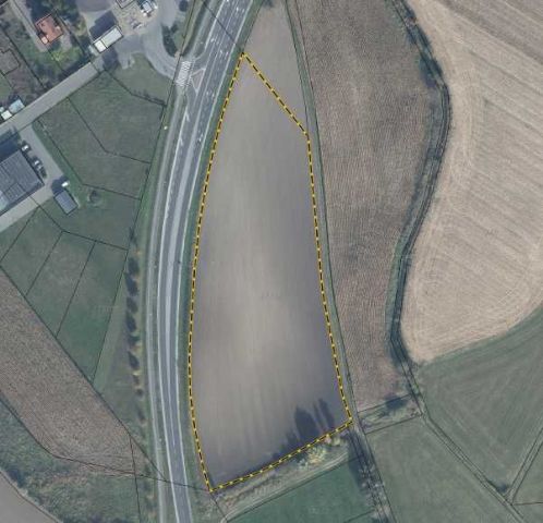 Działka inwestycyjna Buk. Zdjęcie 1