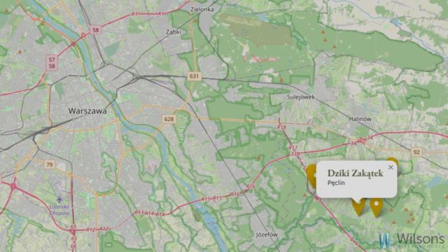 dom wolnostojący, 5 pokoi Pęclin. Zdjęcie 13