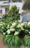 Mieszkanie 3-pokojowe Warszawa Żoliborz, ul. Ludwika Rydygiera. Zdjęcie 4