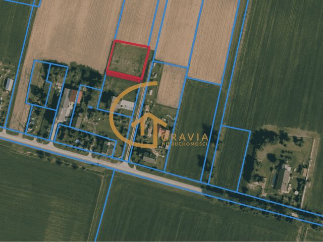 Działka budowlana Sulicice. Zdjęcie 9
