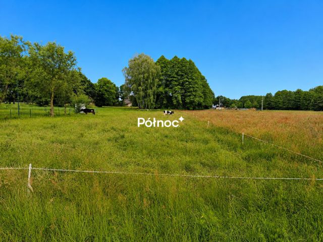 Działka rolno-budowlana Łapczyn. Zdjęcie 3