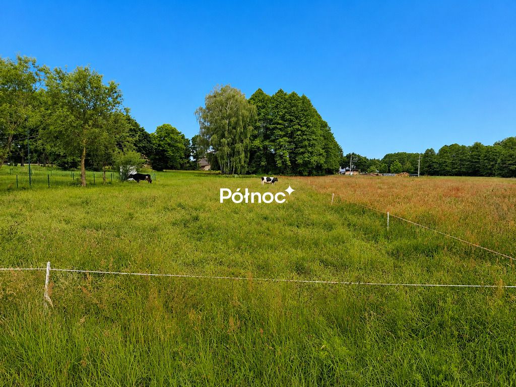 Działka rolno-budowlana Łapczyn. Zdjęcie 3